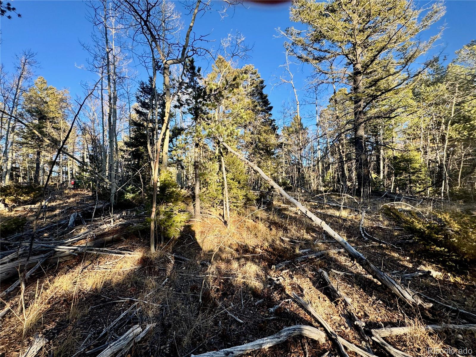 Lot 5888 Loubier Road Fort Garland CO 81152
