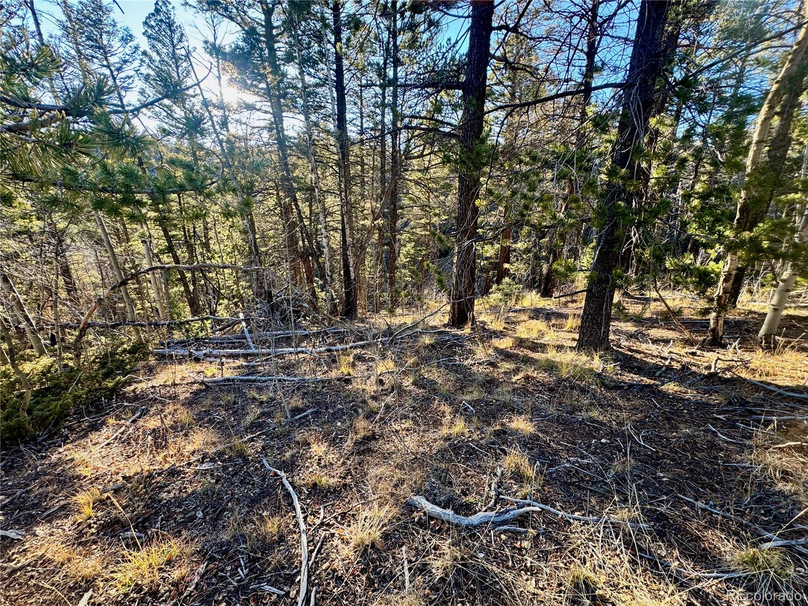 Lot 5888 Loubier Road Fort Garland CO 81152