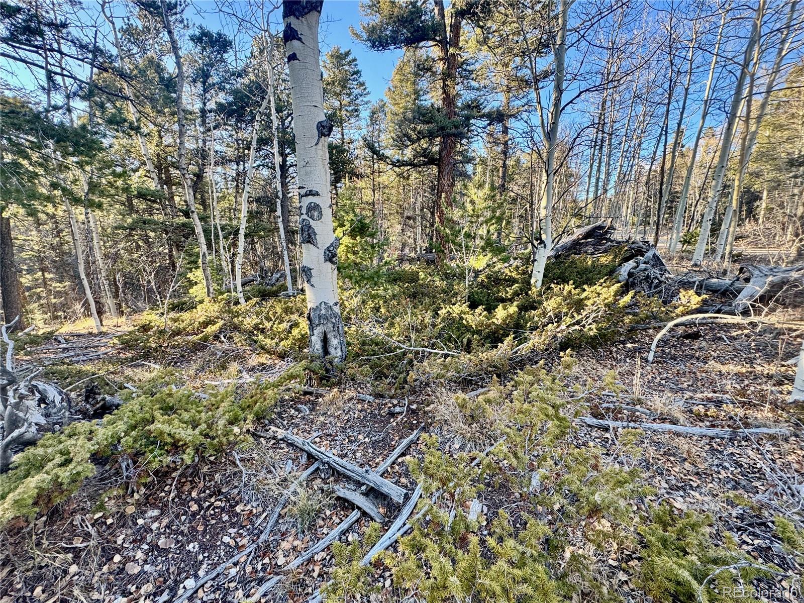 Lot 5888 Loubier Road Fort Garland CO 81152