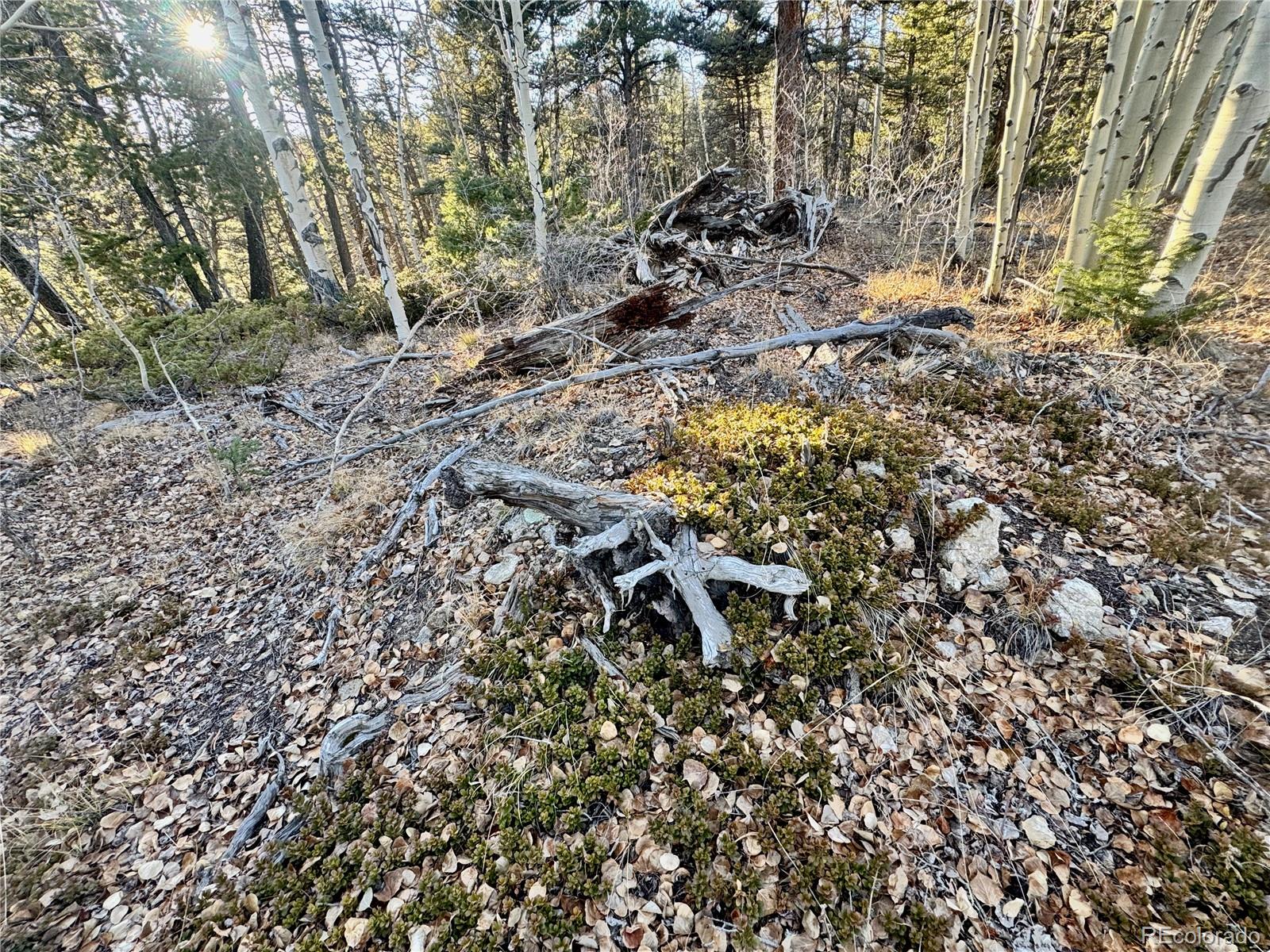 Lot 5888 Loubier Road Fort Garland CO 81152