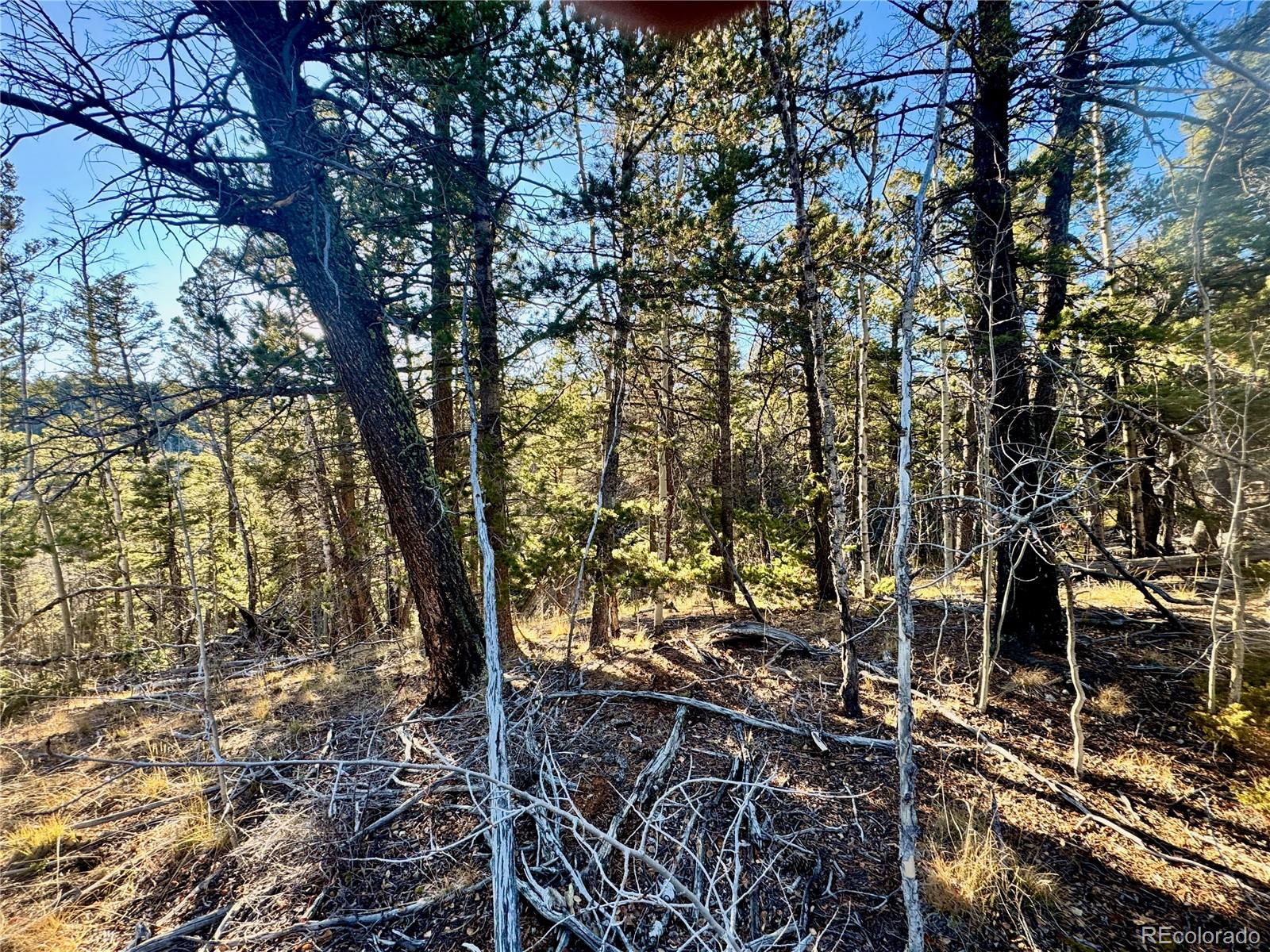 Lot 5888 Loubier Road Fort Garland CO 81152