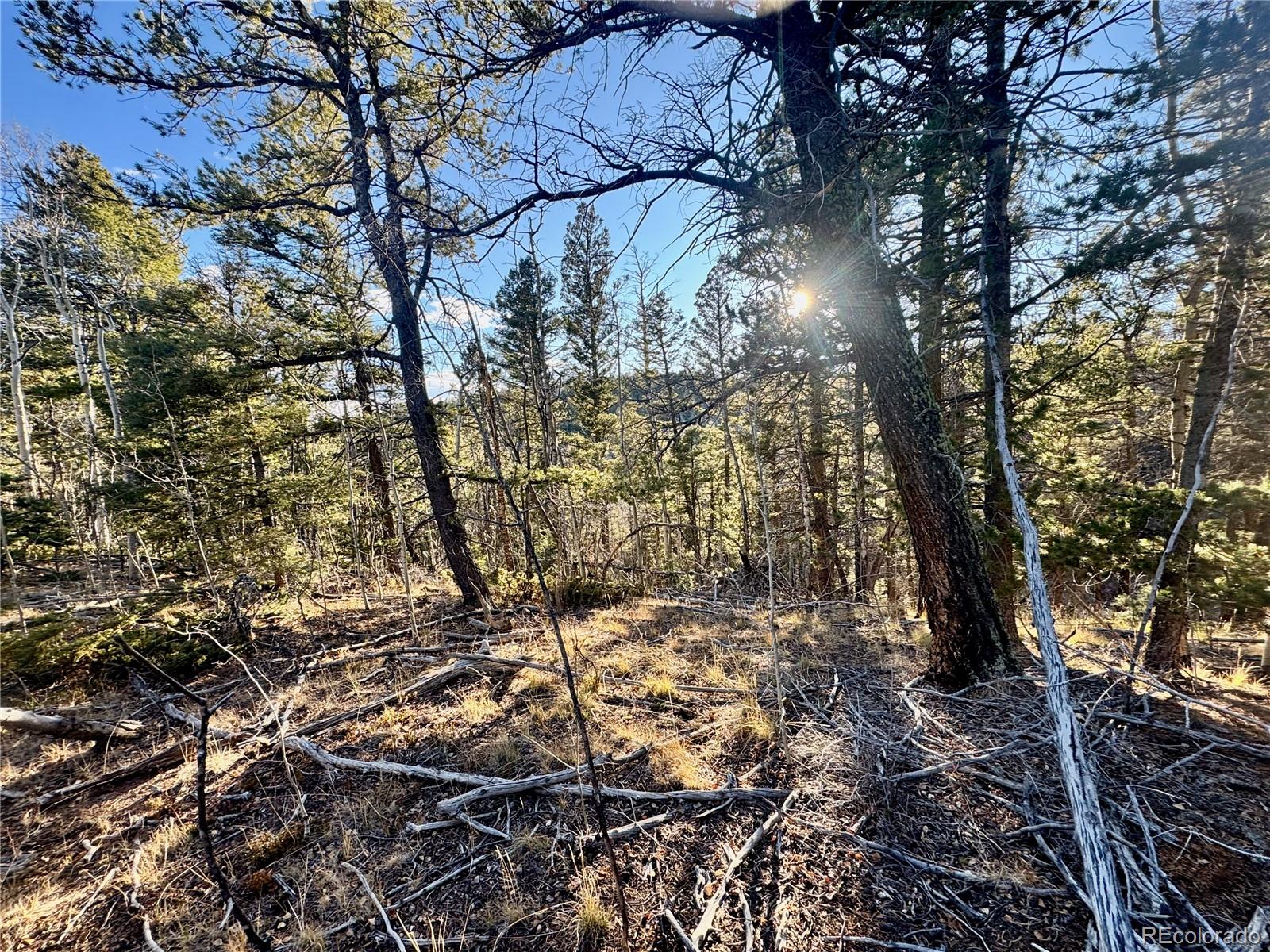 Lot 5888 Loubier Road Fort Garland CO 81152