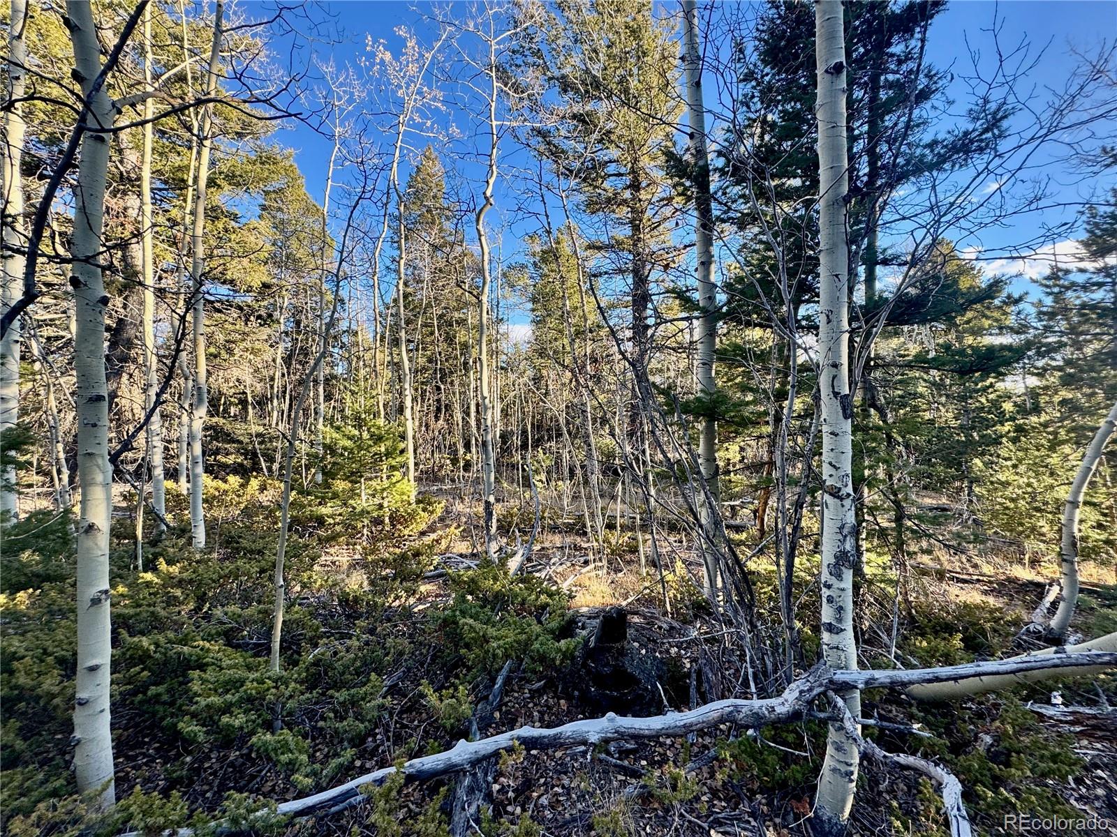 Lot 5888 Loubier Road Fort Garland CO 81152