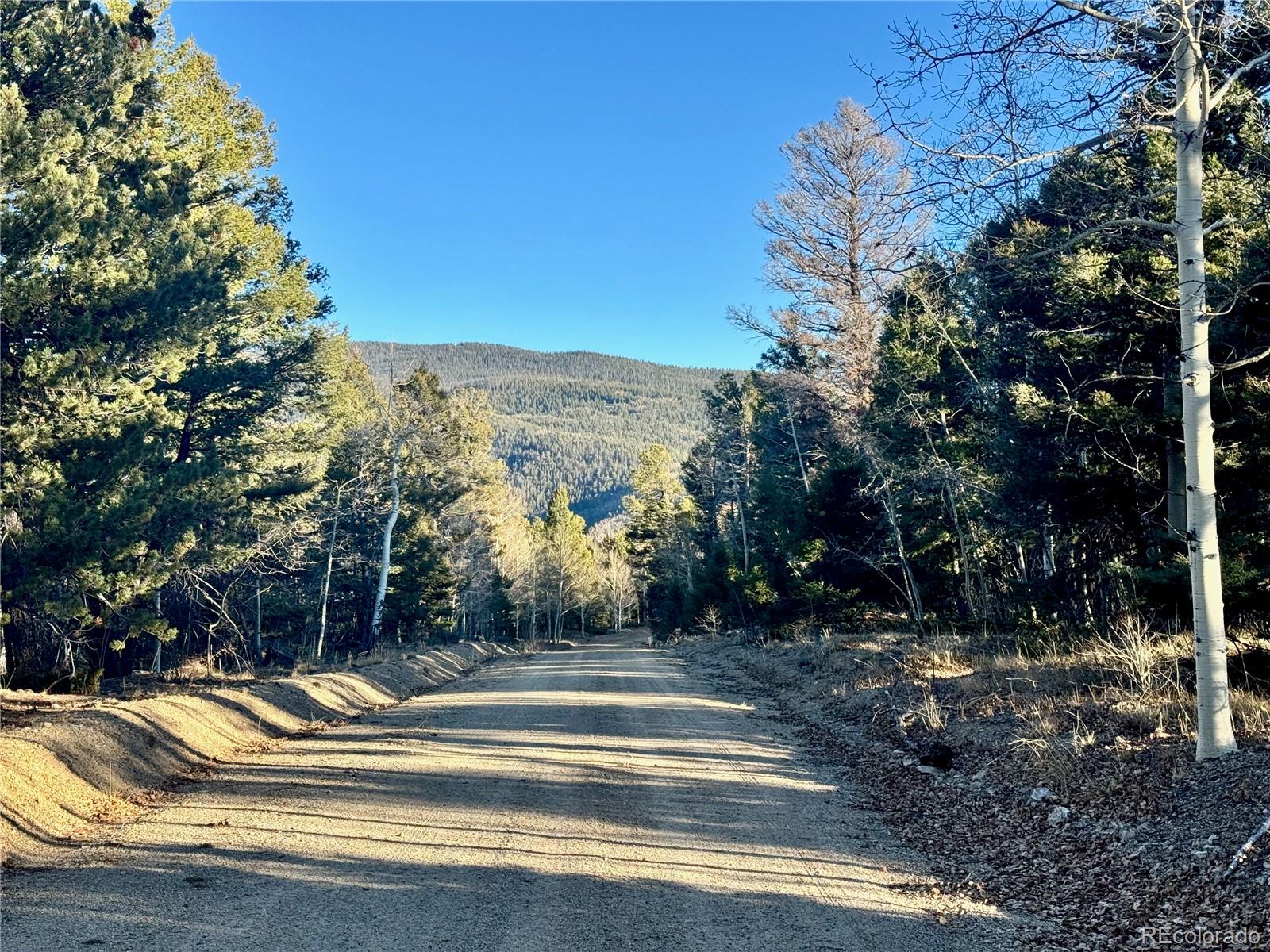 Lot 5888 Loubier Road Fort Garland CO 81152