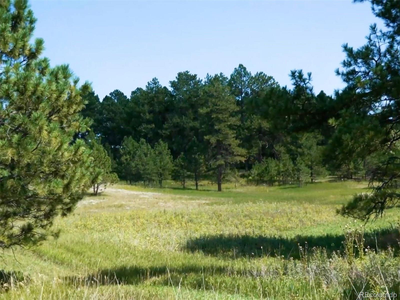 1133 Tomichi Drive Franktown CO 80116