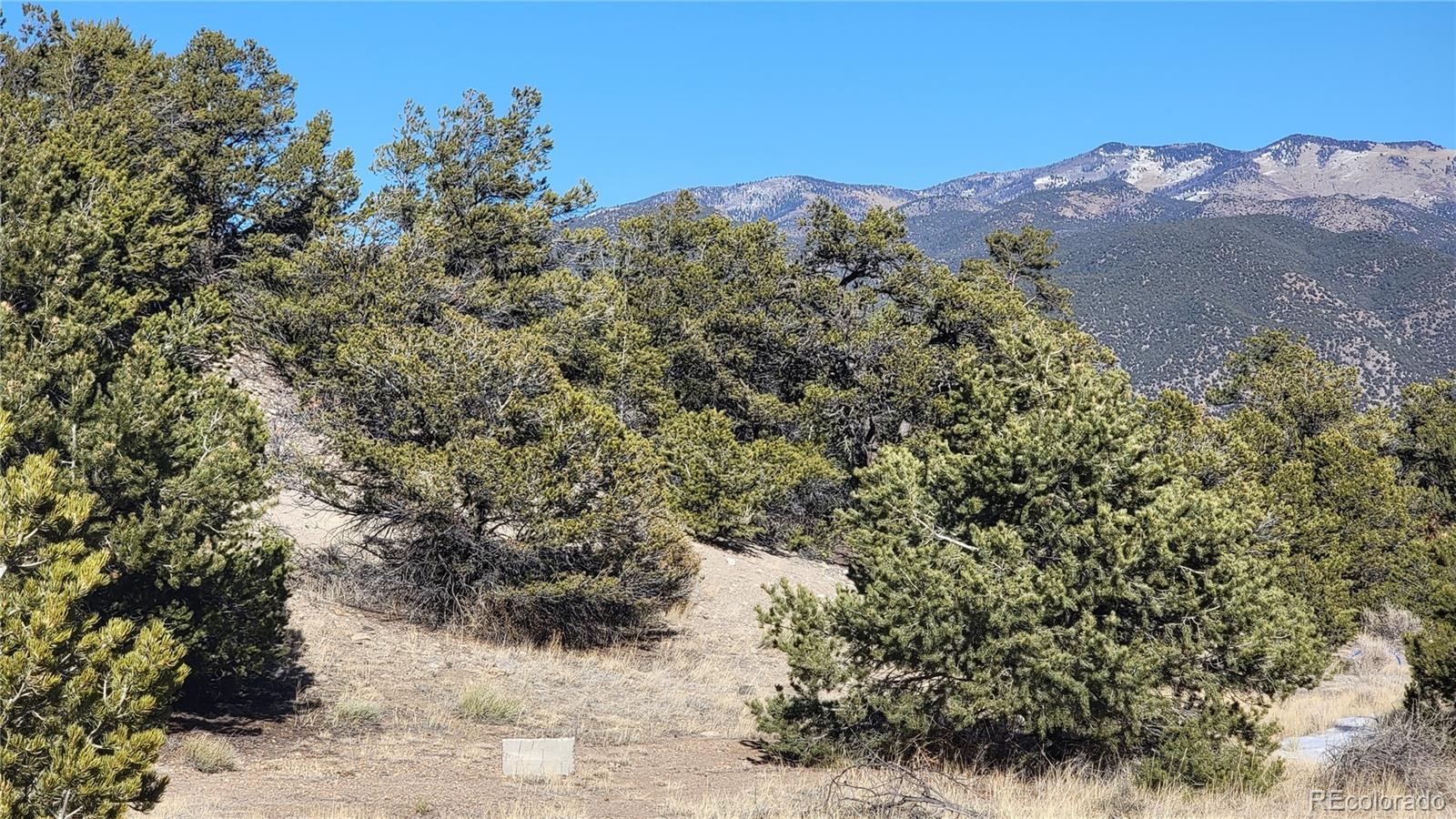 5460 Greenhorn Circle Salida CO 81201