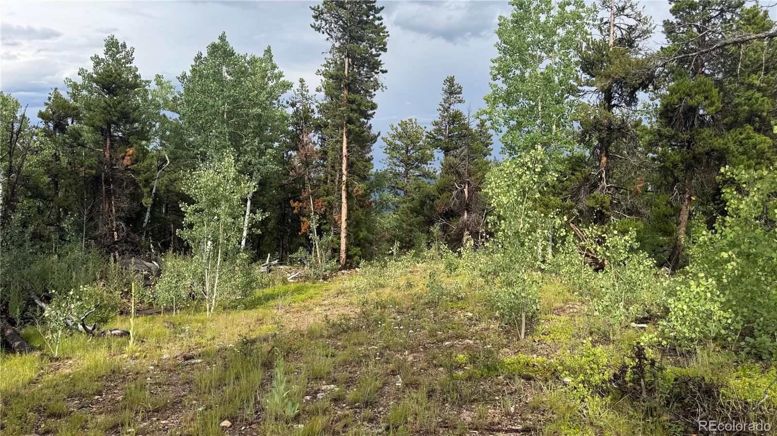 001 Church Placer Road Central City CO 80427