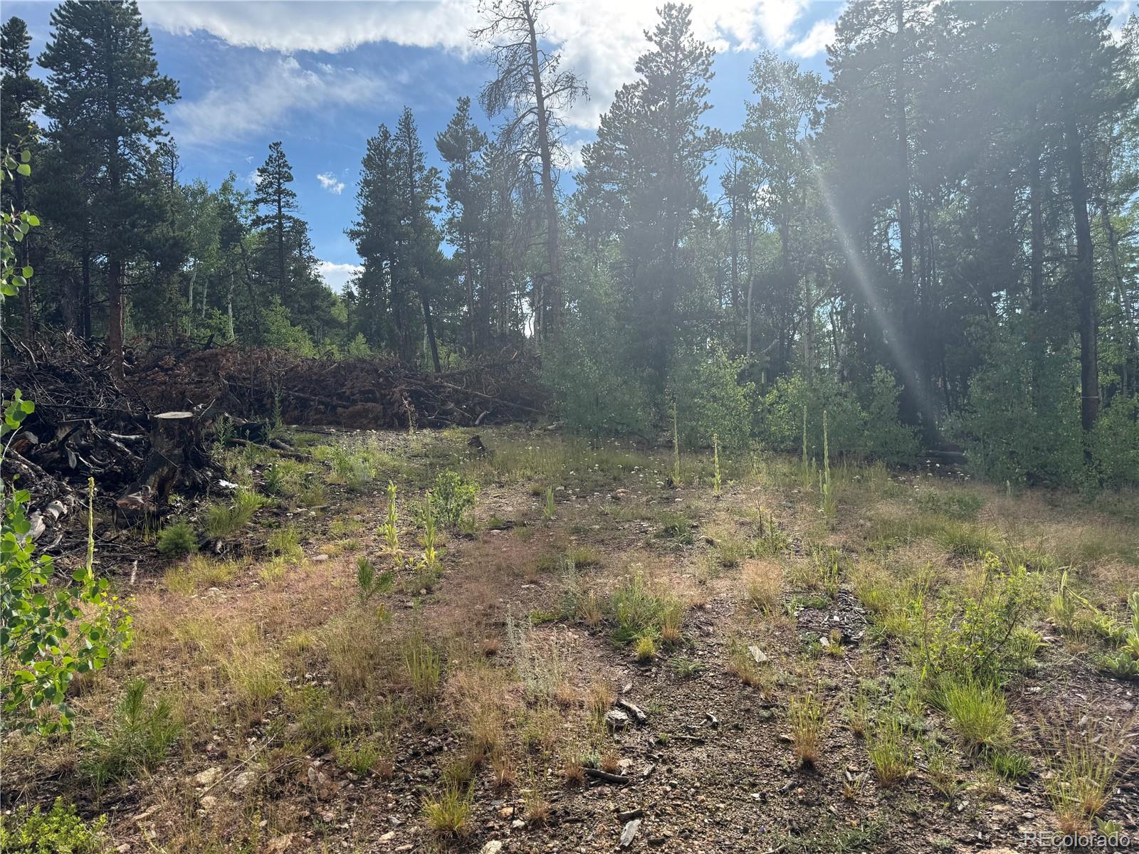 001 Church Placer Road Central City CO 80427