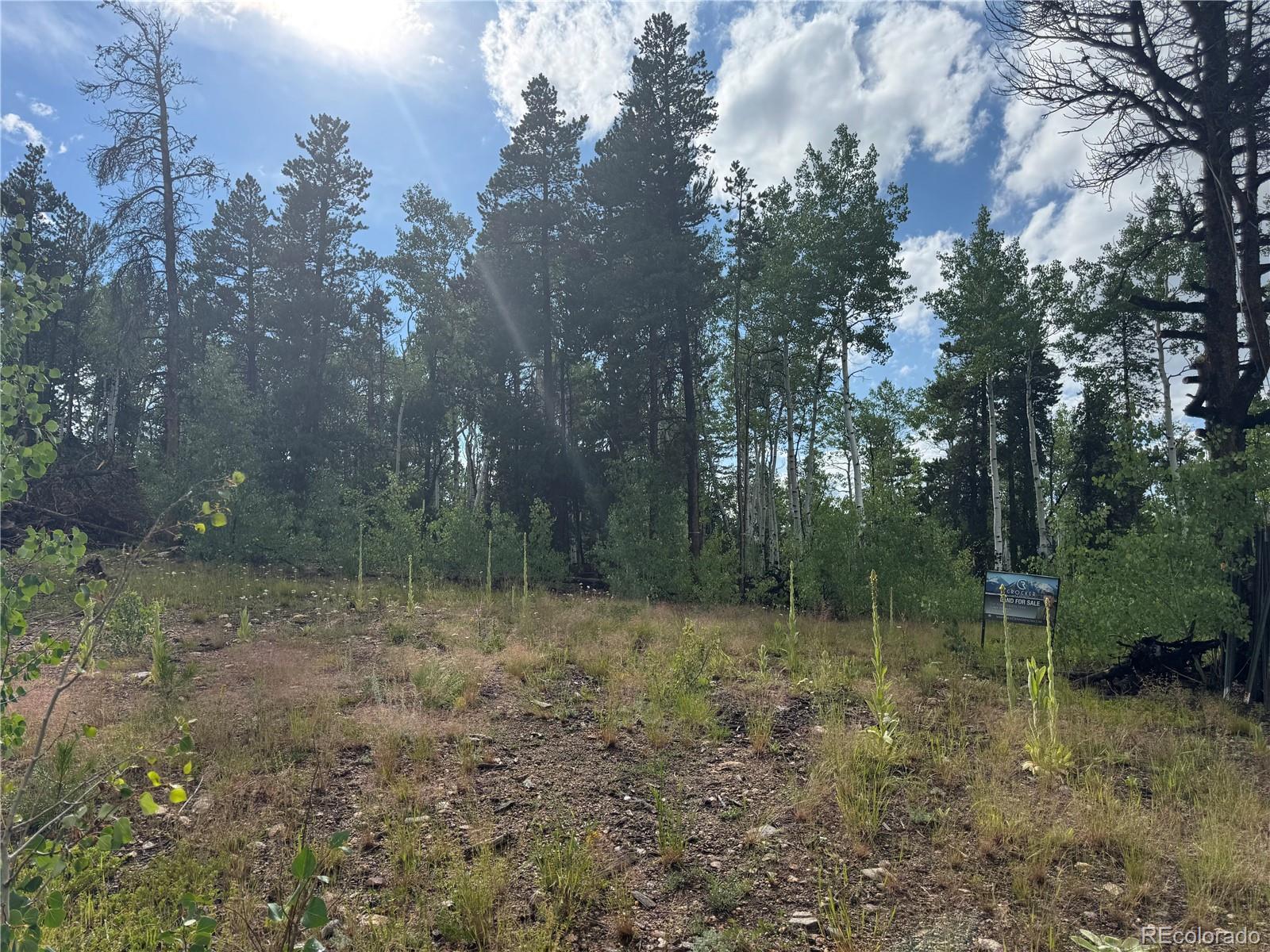 001 Church Placer Road Central City CO 80427
