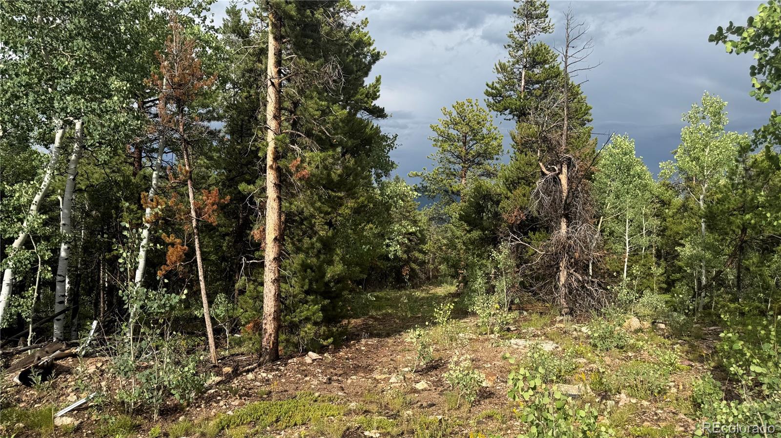 001 Church Placer Road Central City CO 80427