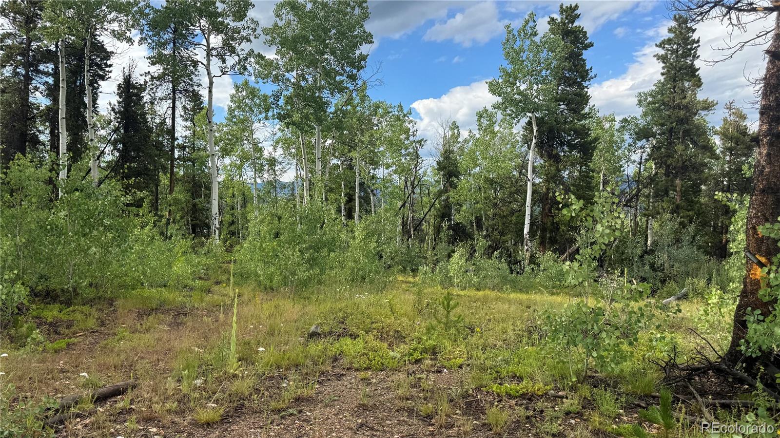 001 Church Placer Road Central City CO 80427