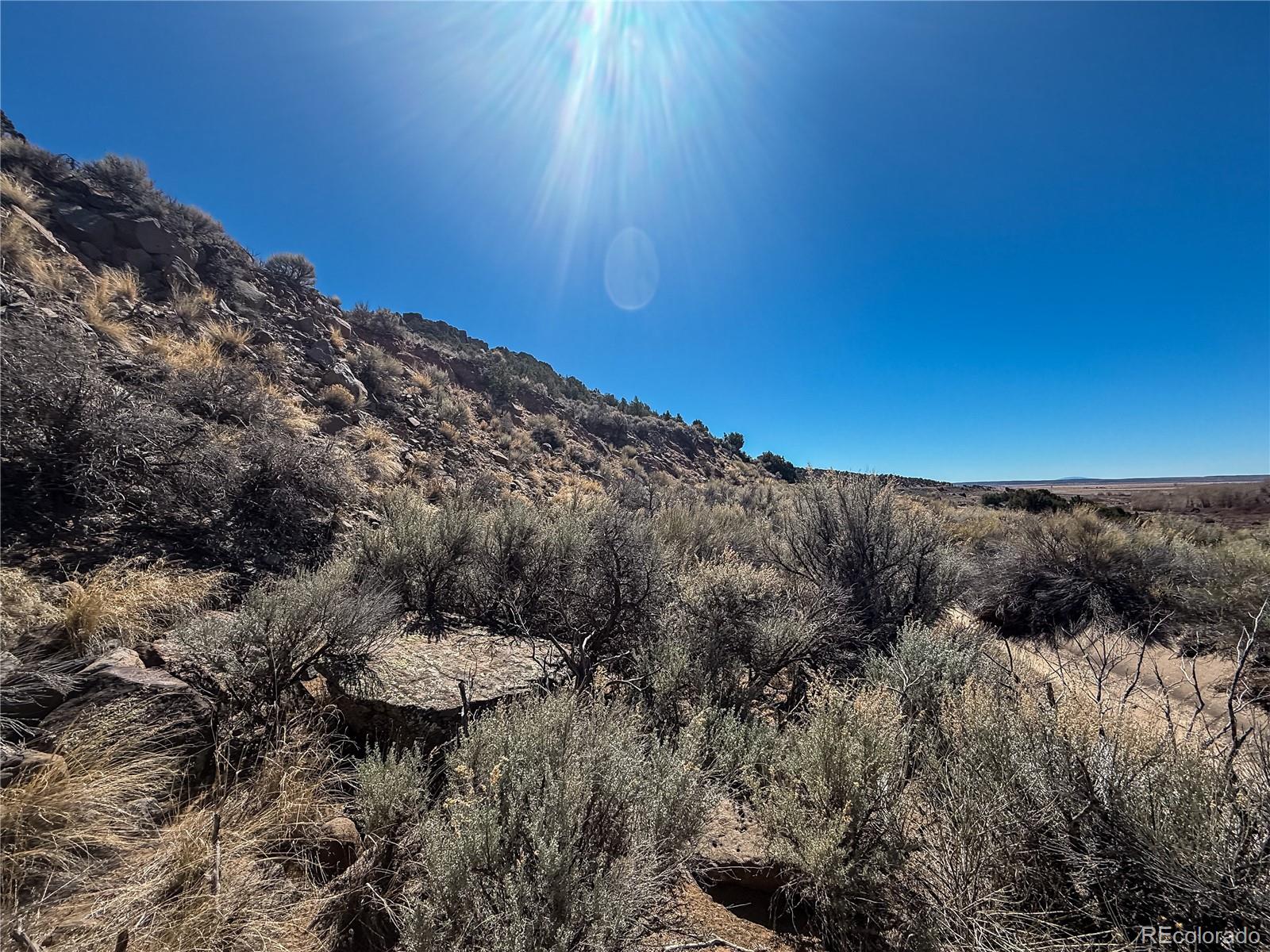 Lot 2517 Paine Rd N Fort Garland CO 81133