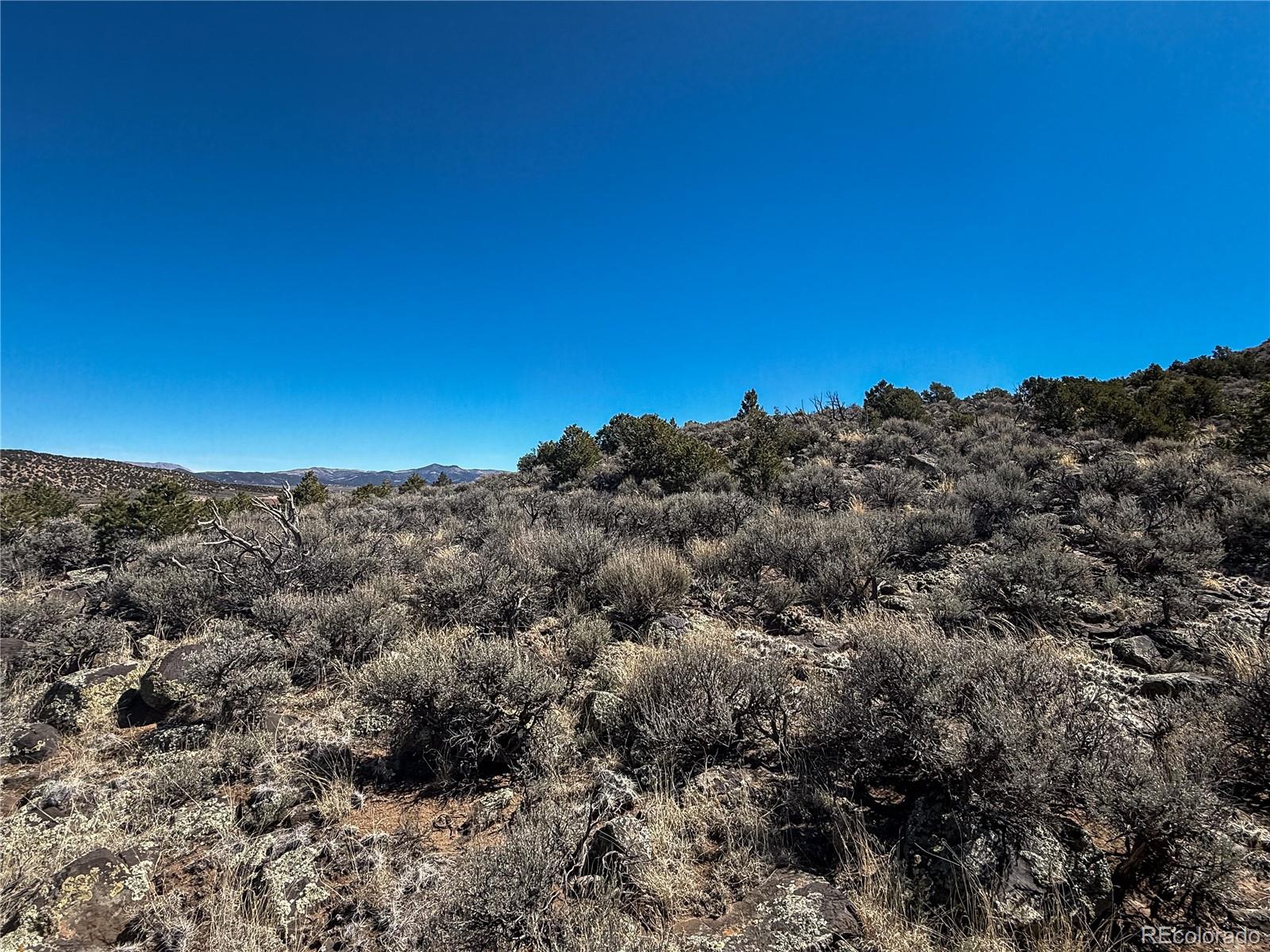 Lot 2517 Paine Rd N Fort Garland CO 81133