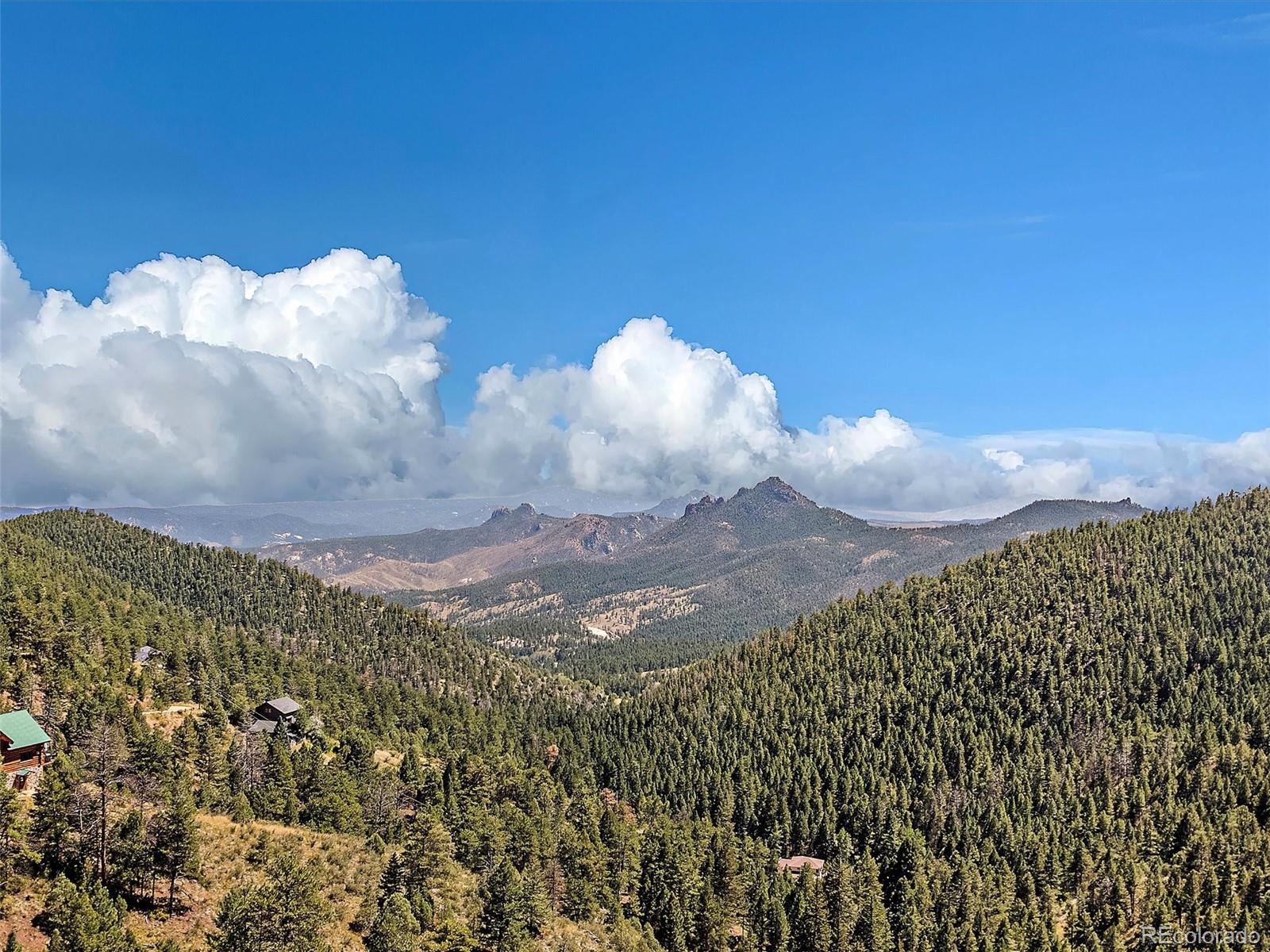 13809 Elsie Road Conifer CO 80433