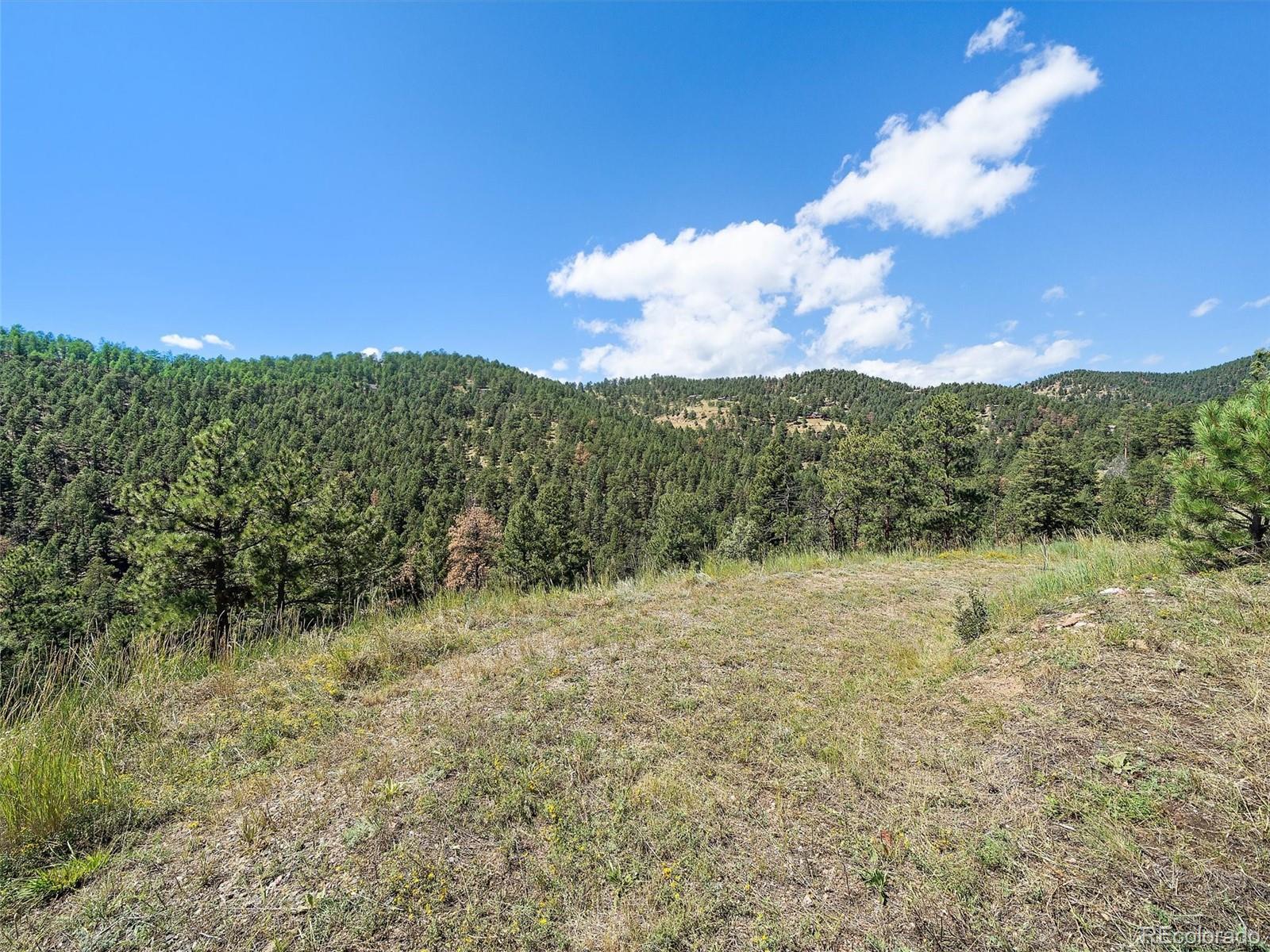 13809 Elsie Road Conifer CO 80433