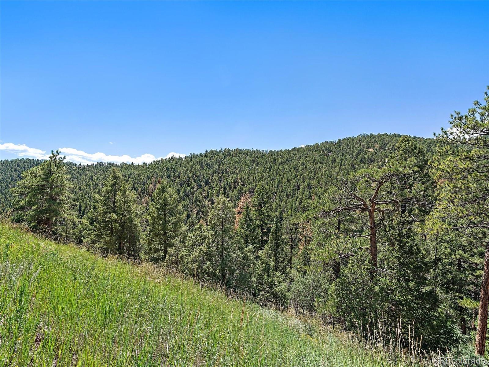 13809 Elsie Road Conifer CO 80433