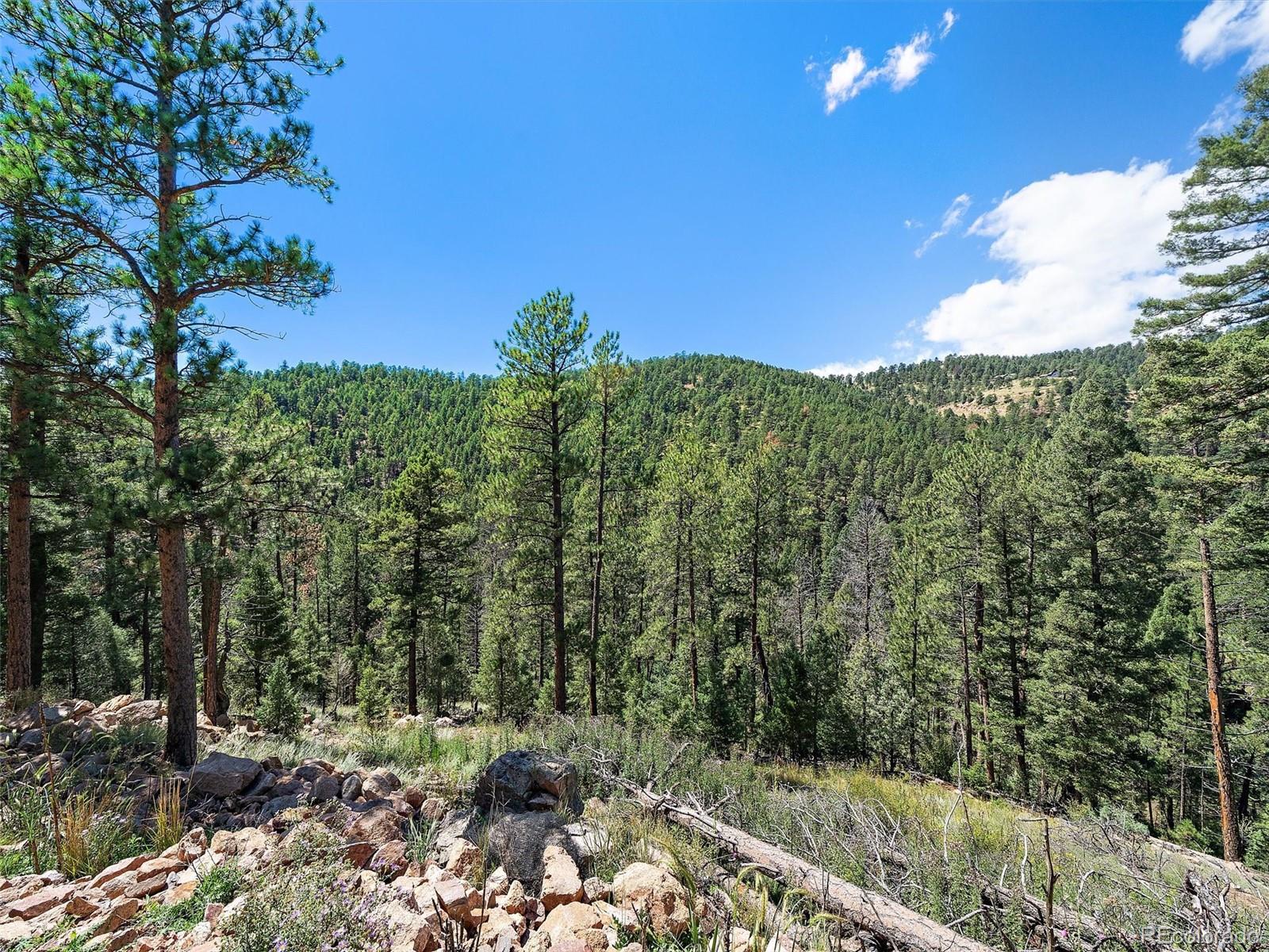 13809 Elsie Road Conifer CO 80433