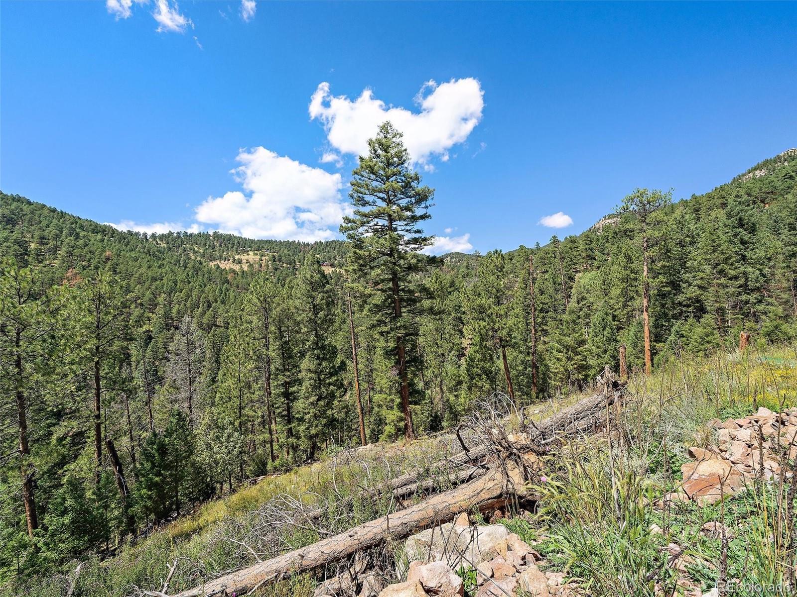 13809 Elsie Road Conifer CO 80433