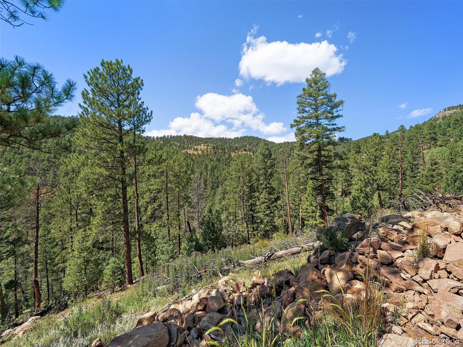 13809 Elsie Road Conifer CO 80433
