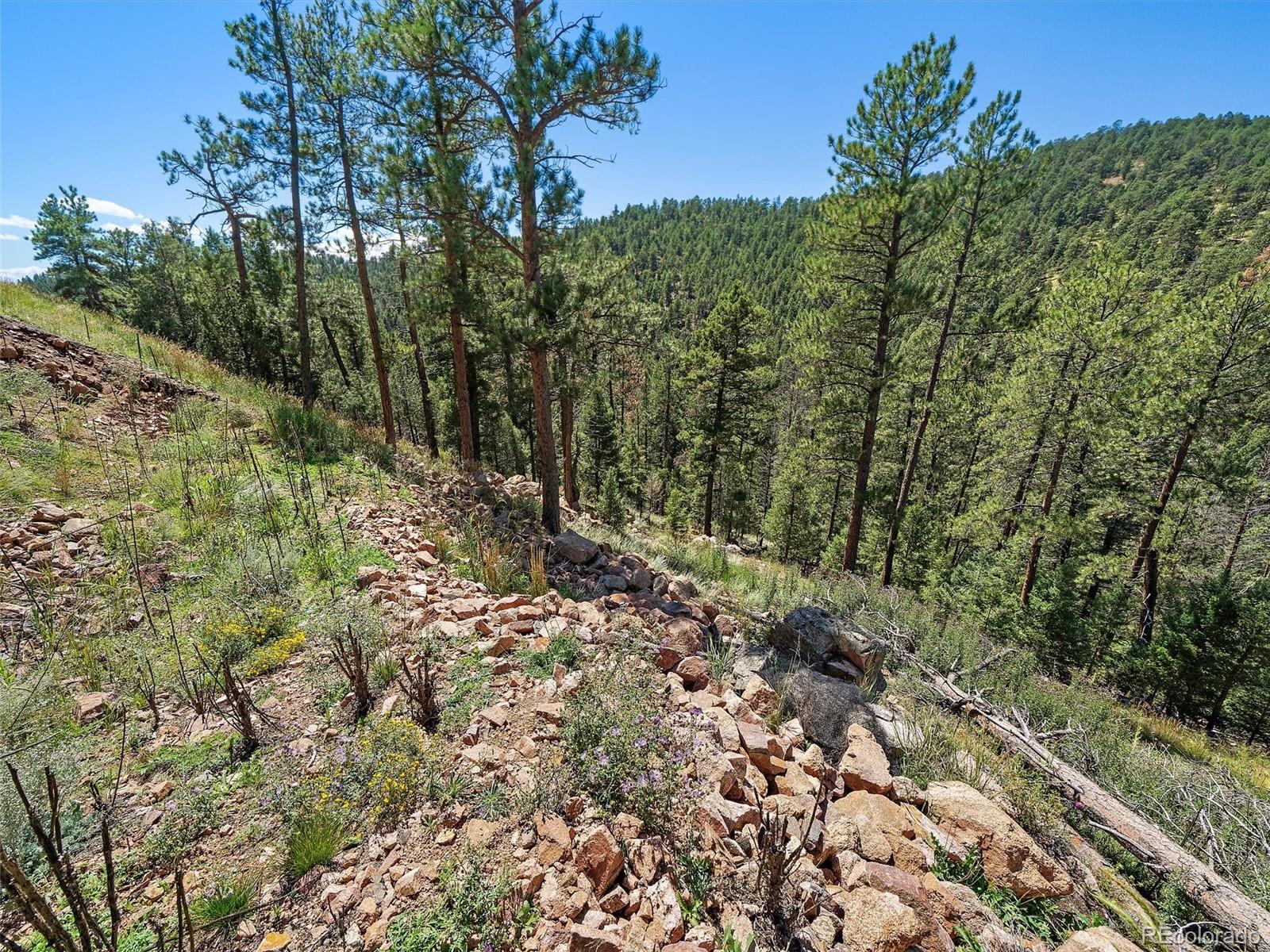 13809 Elsie Road Conifer CO 80433