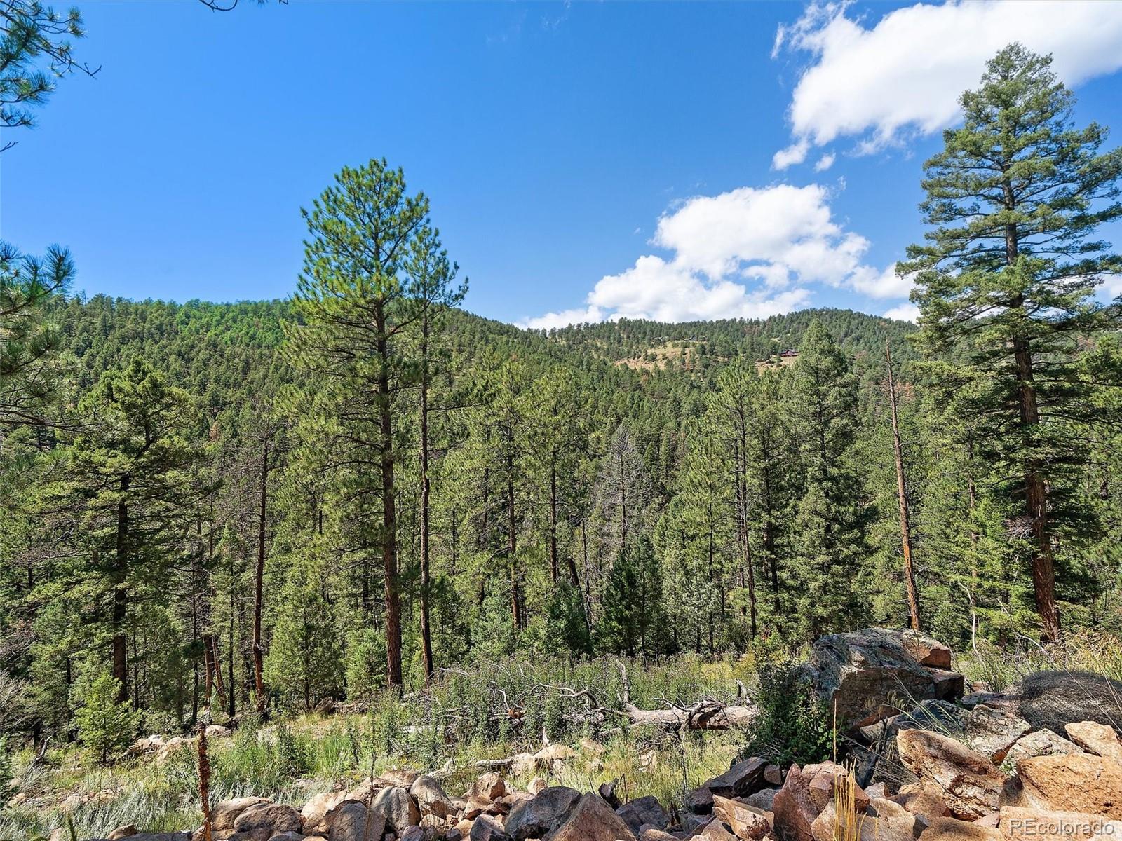 13809 Elsie Road Conifer CO 80433