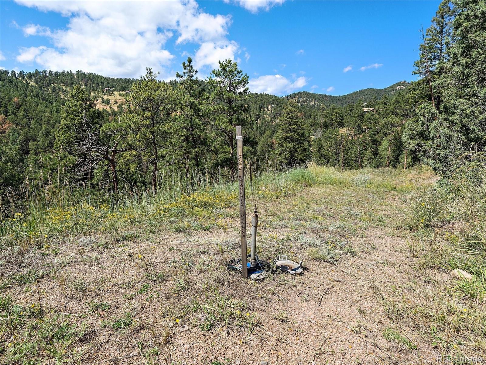 13809 Elsie Road Conifer CO 80433