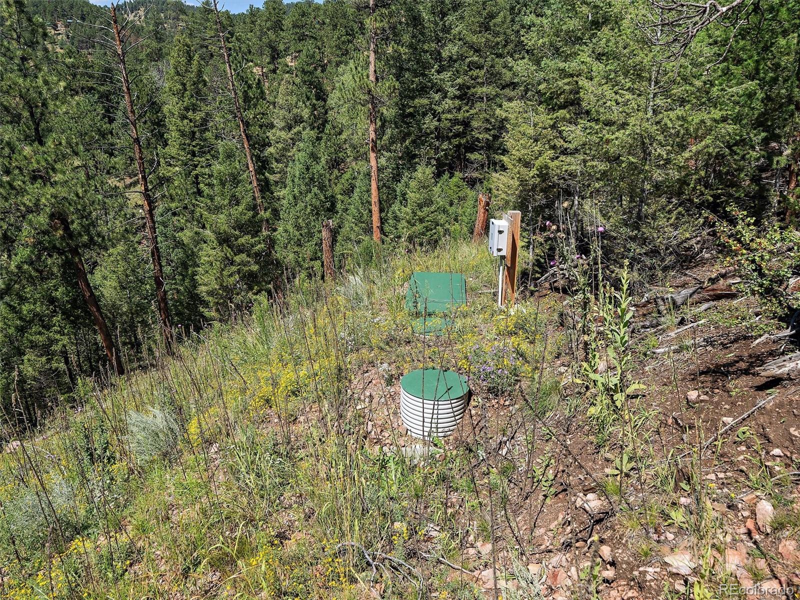 13809 Elsie Road Conifer CO 80433