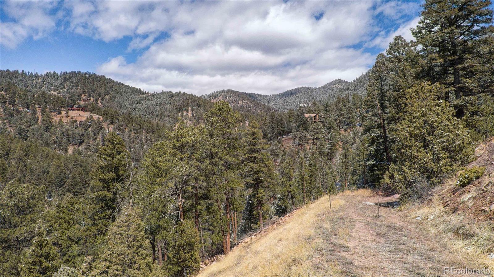 13809 Elsie Road Conifer CO 80433