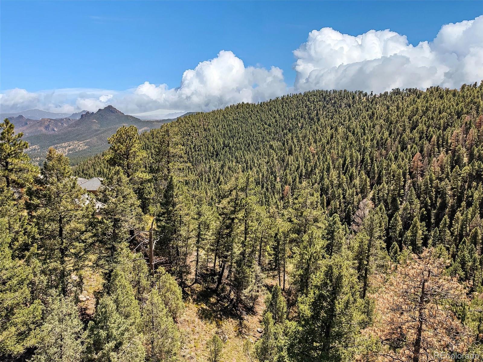 13809 Elsie Road Conifer CO 80433