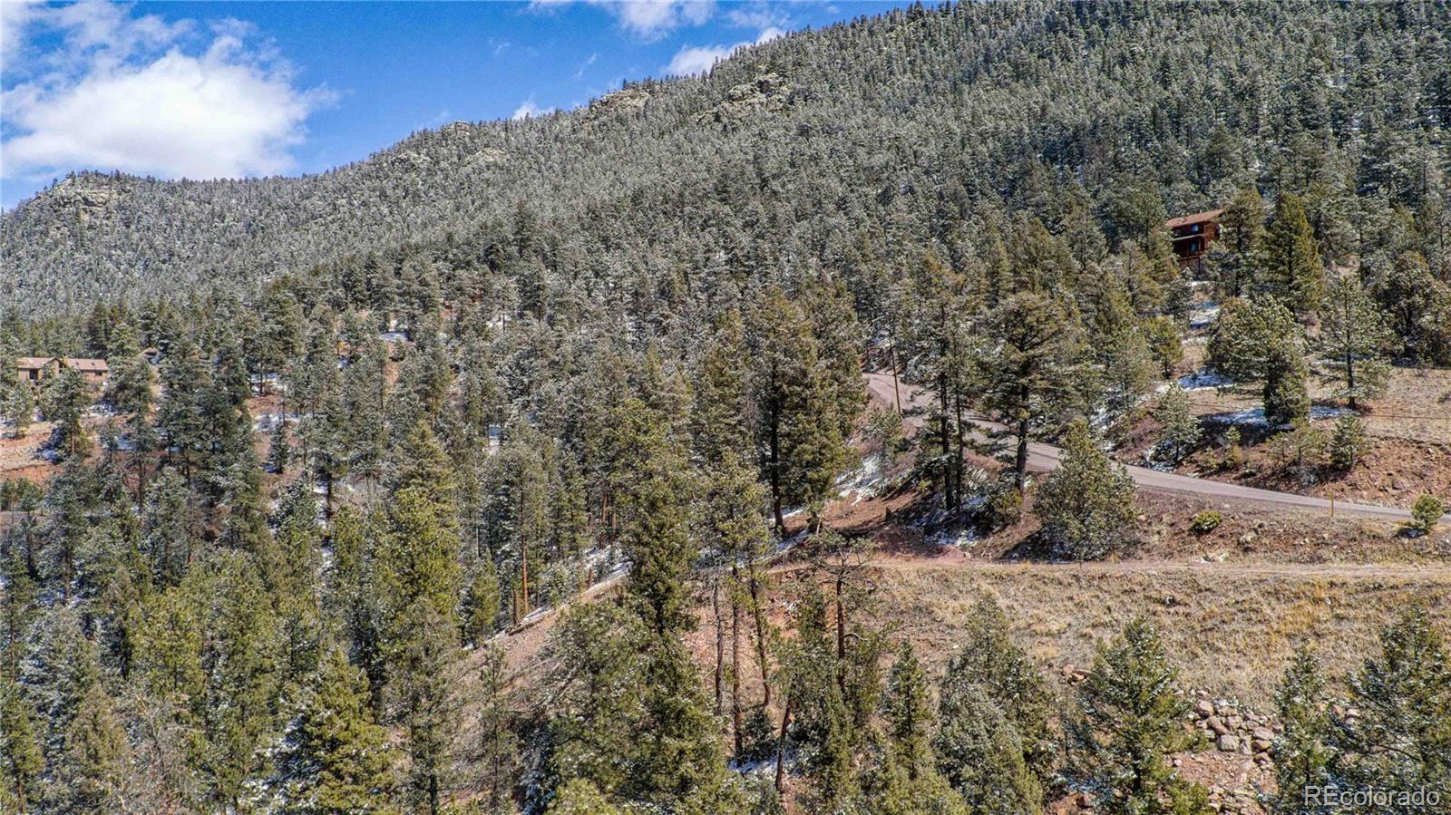 13809 Elsie Road Conifer CO 80433