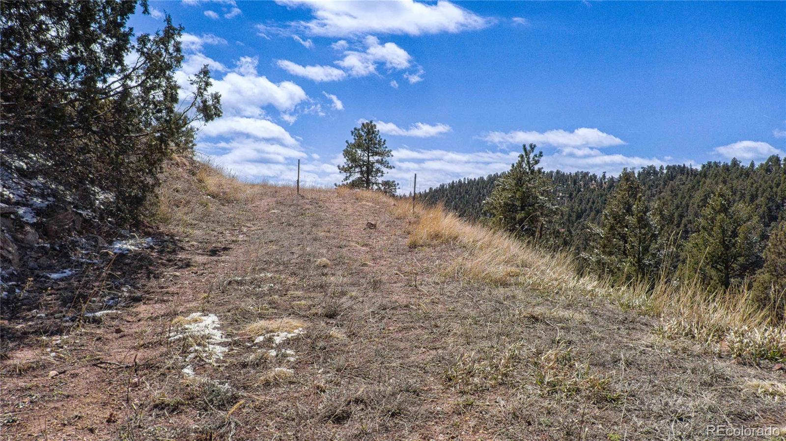 13809 Elsie Road Conifer CO 80433