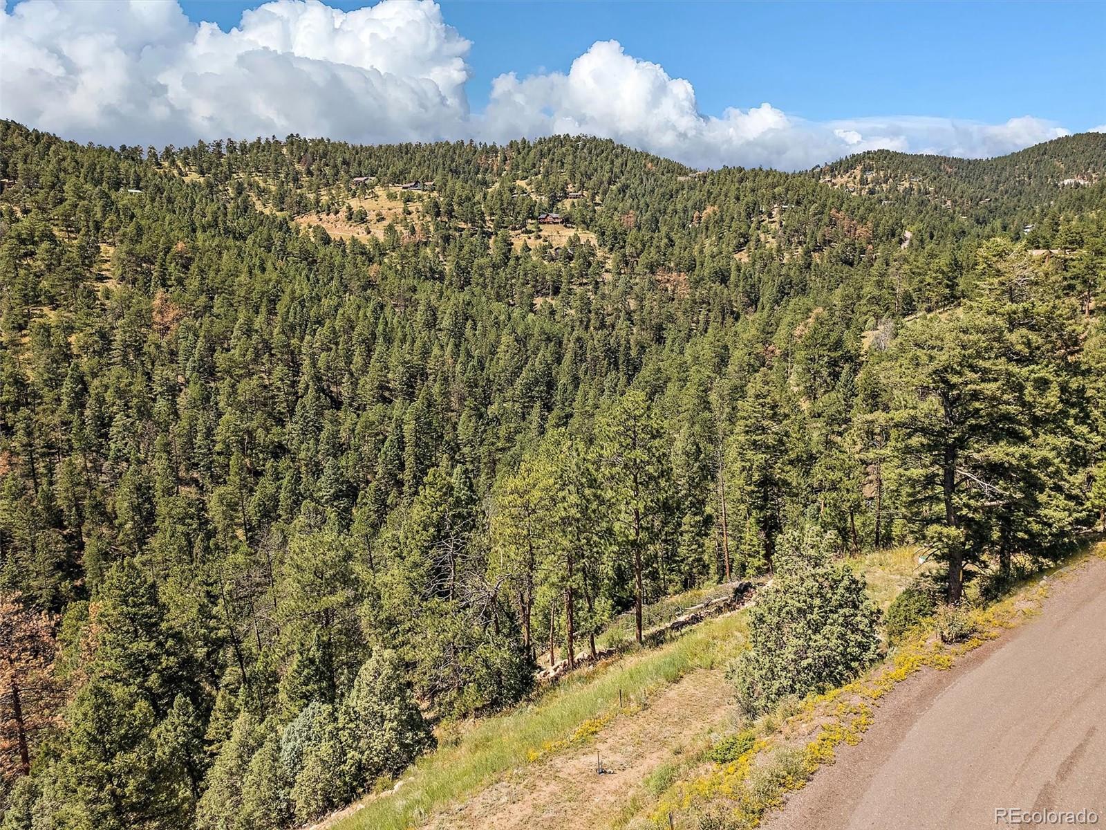 13809 Elsie Road Conifer CO 80433
