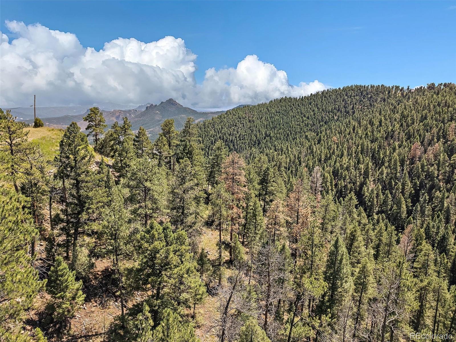 13809 Elsie Road Conifer CO 80433