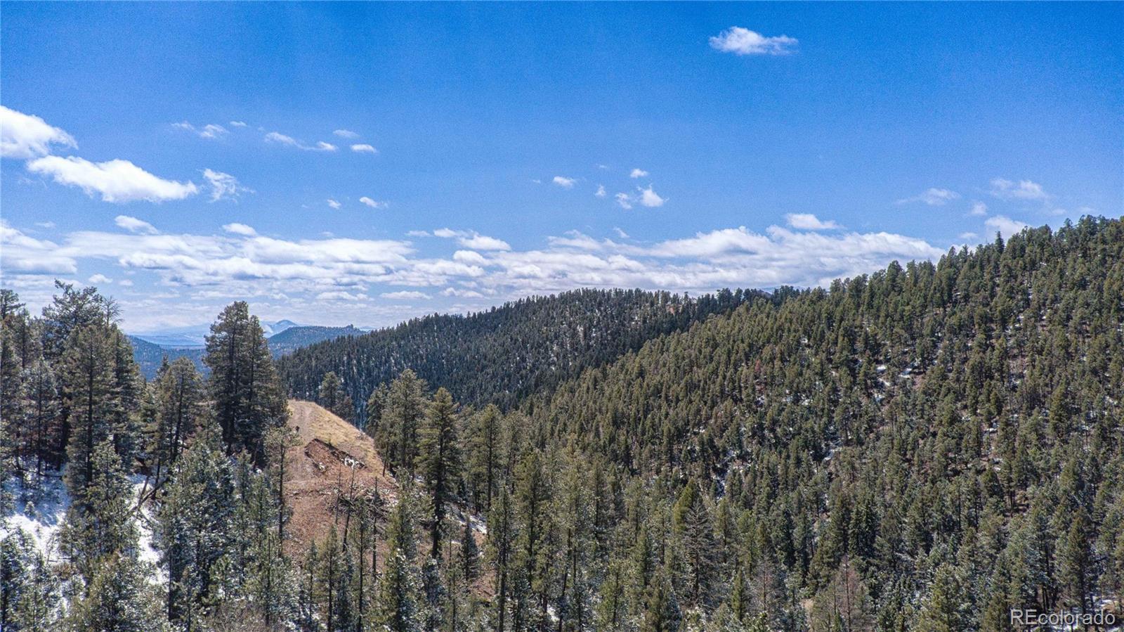 13809 Elsie Road Conifer CO 80433