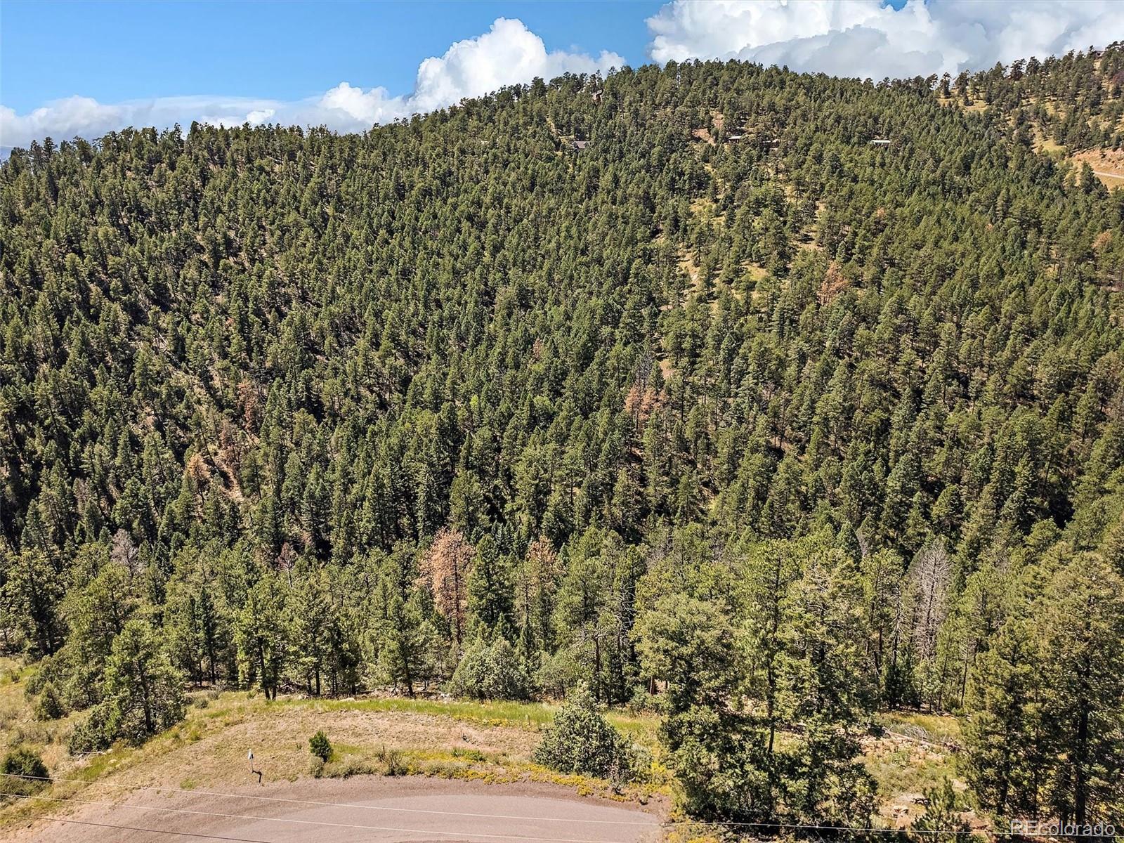 13809 Elsie Road Conifer CO 80433