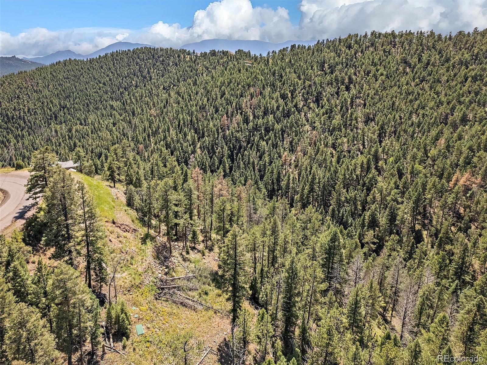 13809 Elsie Road Conifer CO 80433