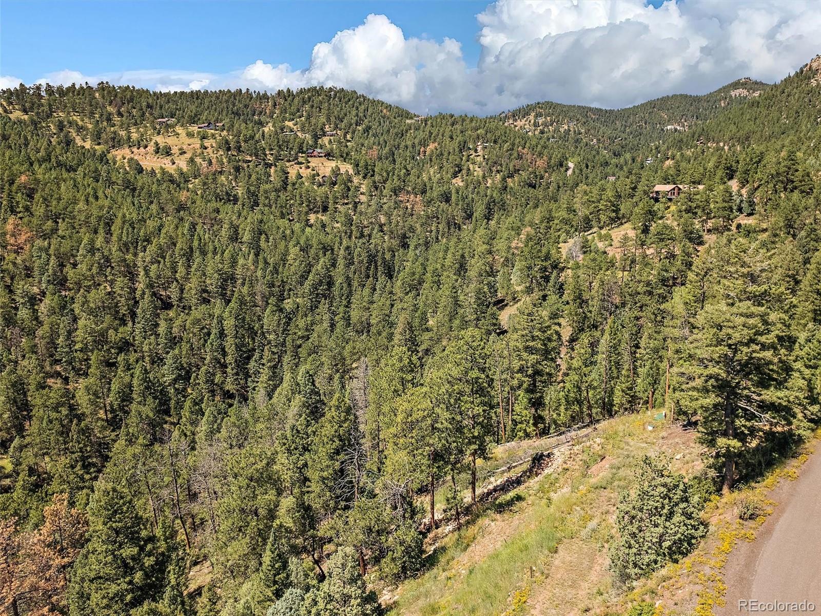13809 Elsie Road Conifer CO 80433