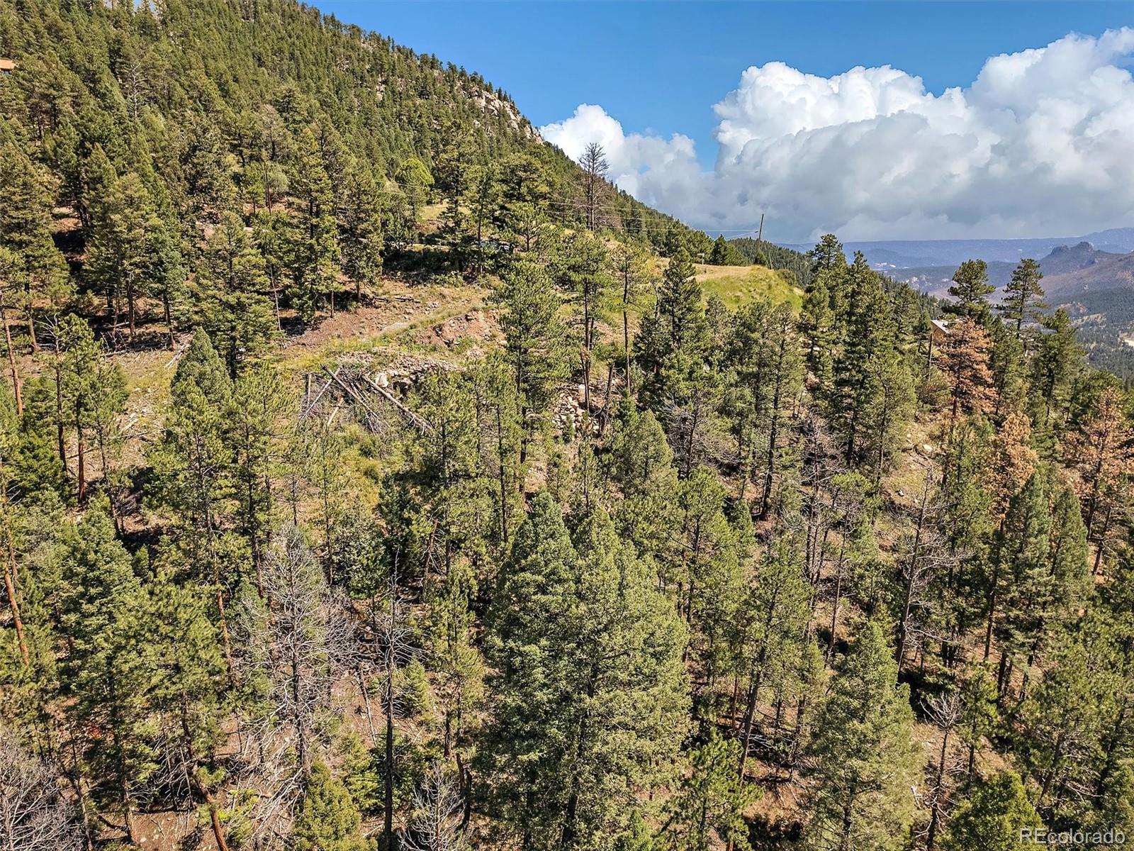 13809 Elsie Road Conifer CO 80433