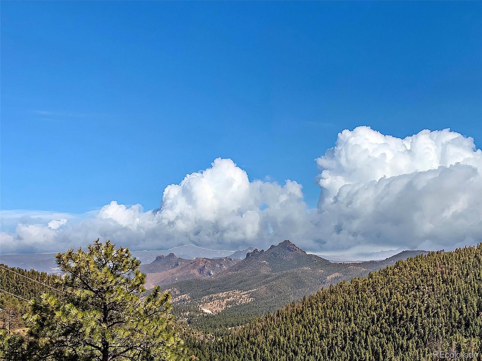 13809 Elsie Road Conifer CO 80433