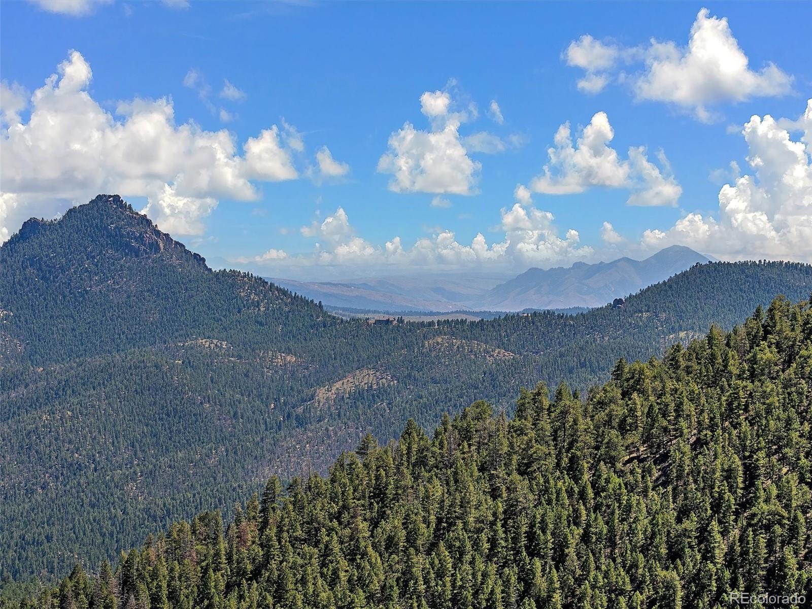 13809 Elsie Road Conifer CO 80433
