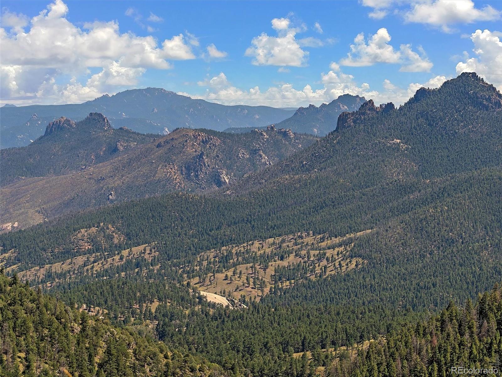 13809 Elsie Road Conifer CO 80433
