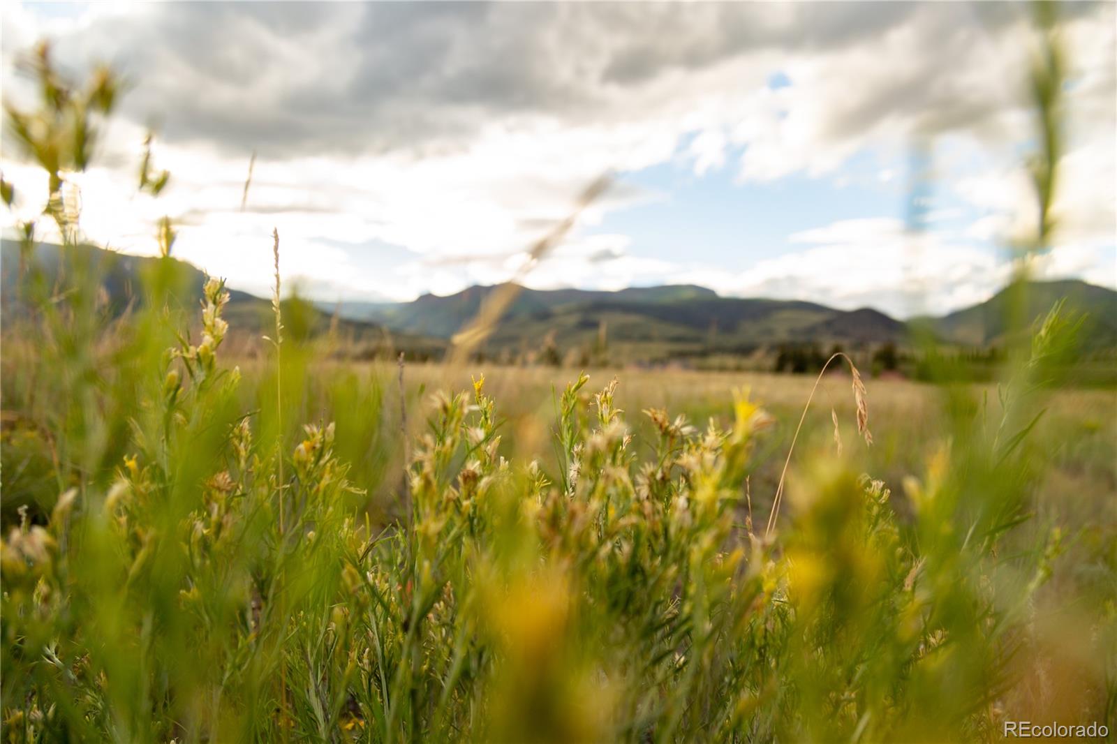 3940 Vista Grande Drive Creede CO 81130