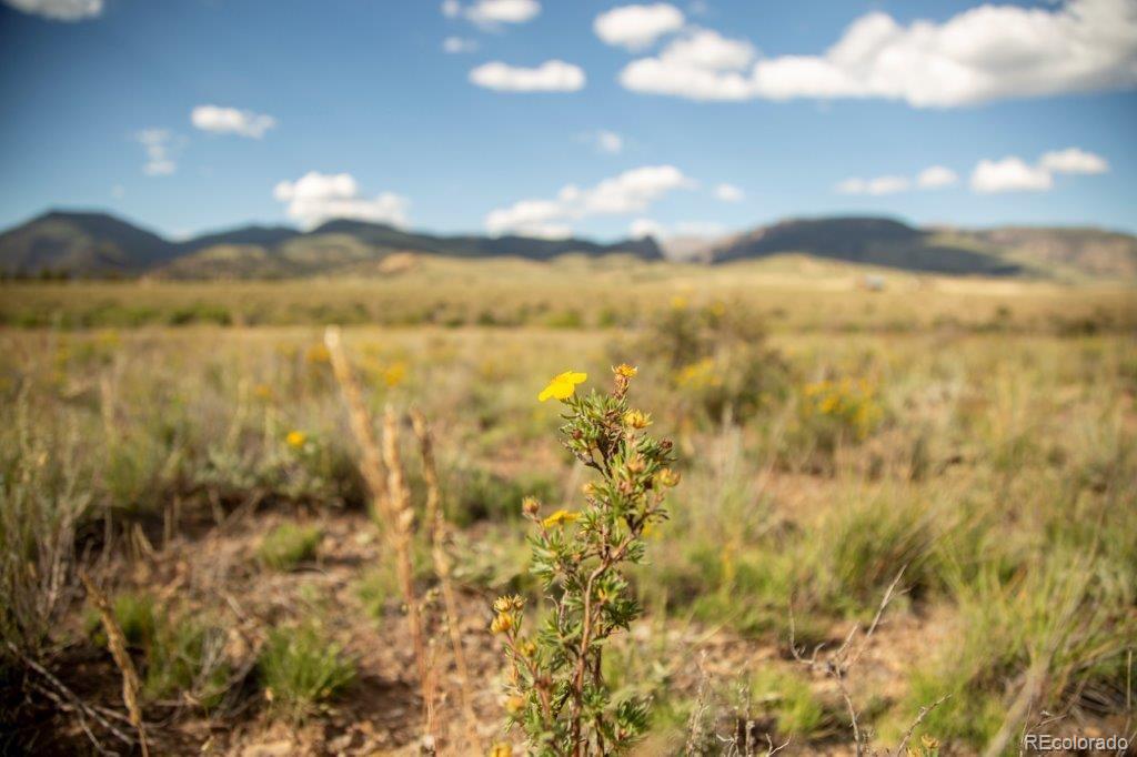 3940 Vista Grande Drive Creede CO 81130
