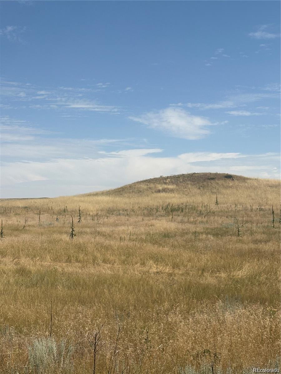 41466 Way Of Goodness Deer Trail CO 80105