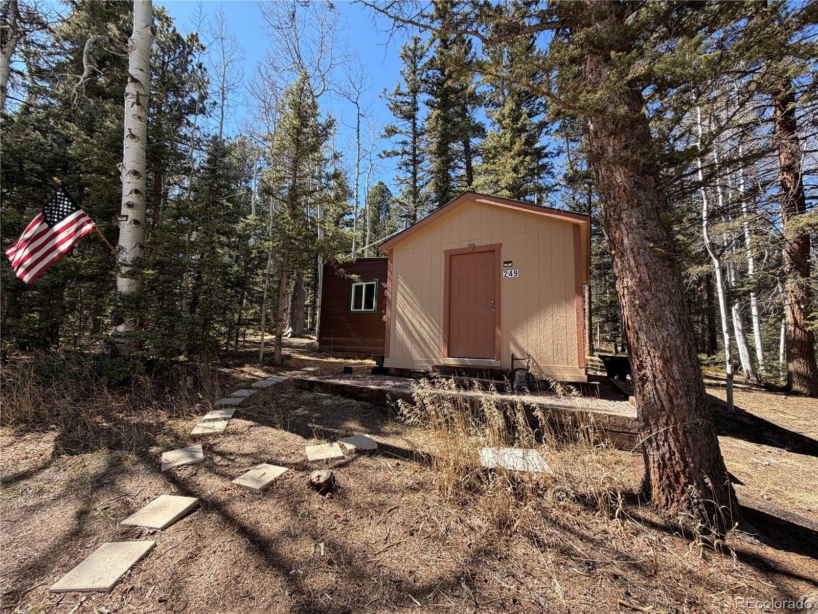 249 Gold Dust Creek Road Florissant CO 80816