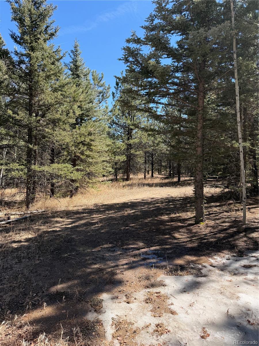 249 Gold Dust Creek Road Florissant CO 80816