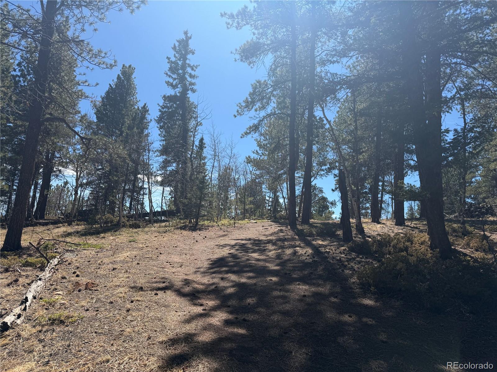 249 Gold Dust Creek Road Florissant CO 80816