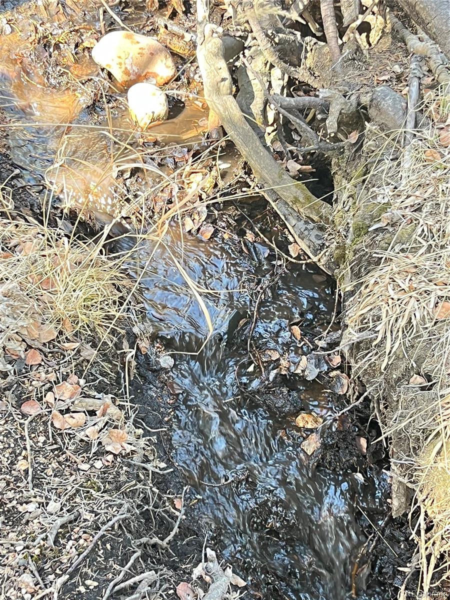249 Gold Dust Creek Road Florissant CO 80816