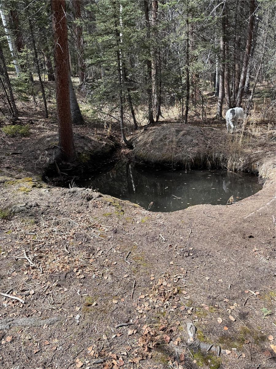 249 Gold Dust Creek Road Florissant CO 80816