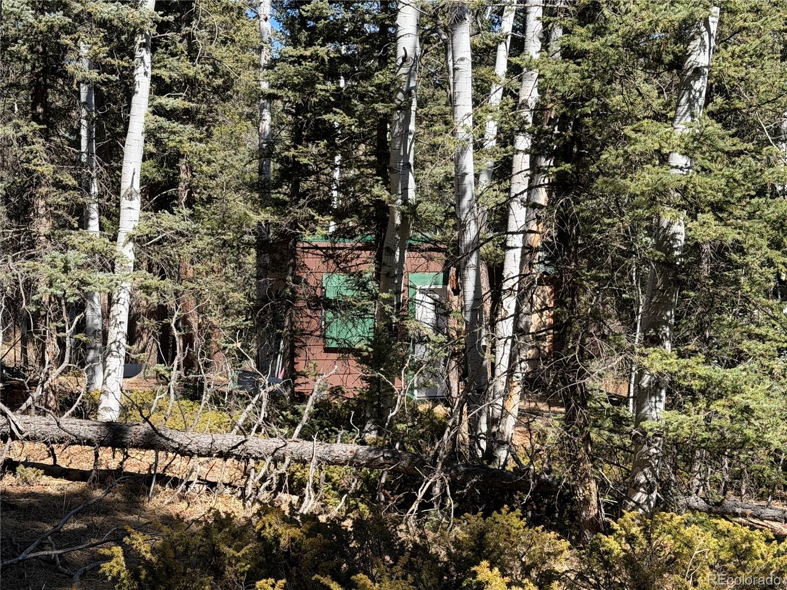 249 Gold Dust Creek Road Florissant CO 80816